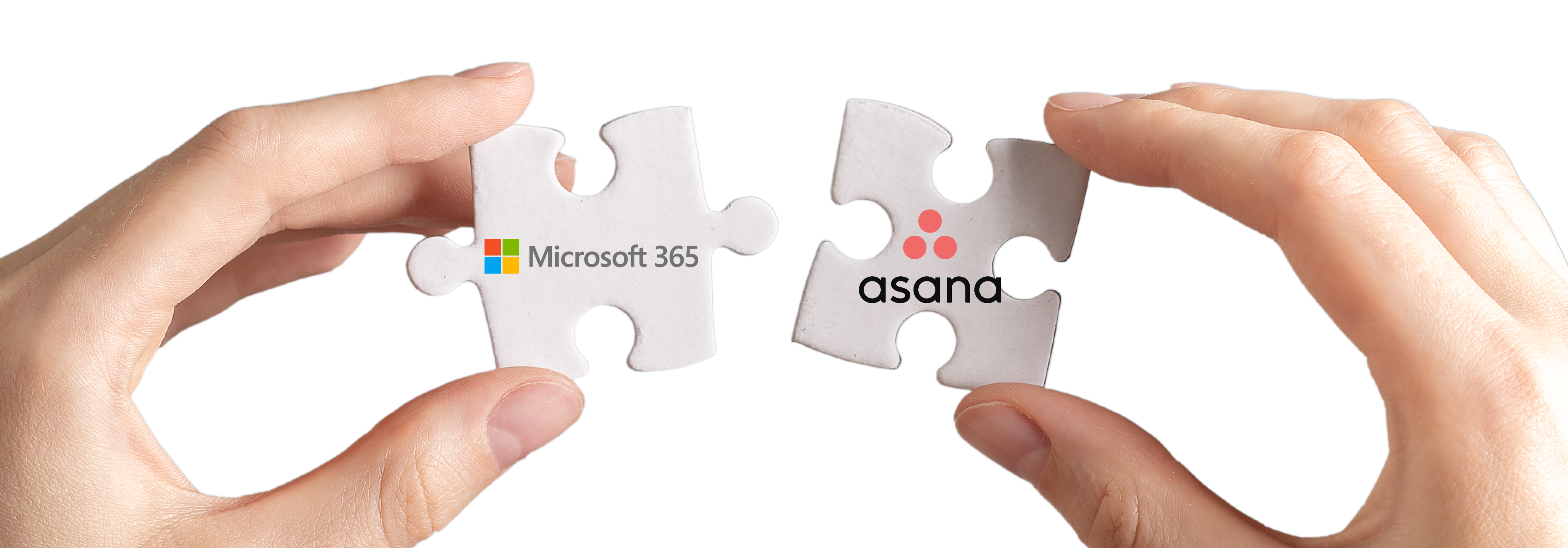 Banner Asana MS365-1