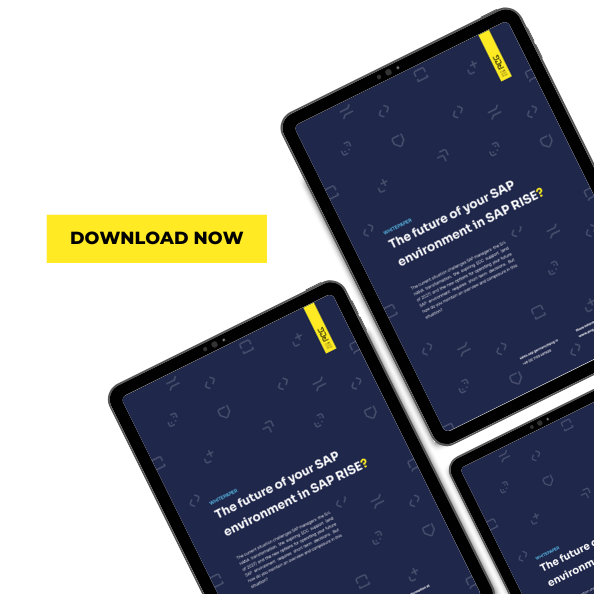 RISE Whitepaper Visual RISE Whitepaper Visual