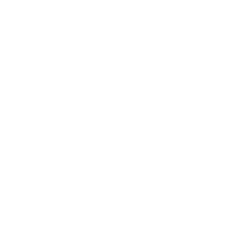 Gemini_spark_reverse-rgb@2x